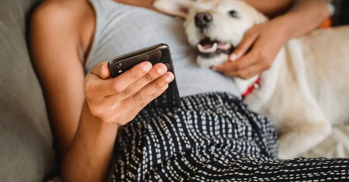 How to Choose the Best Phone Plan for Your Needs